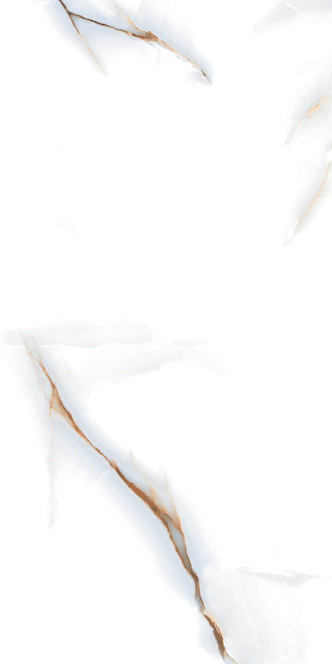 6cb069487e7e11f08c19e61f13c16369_6cb069497e7e11f08c19e61f13c16369